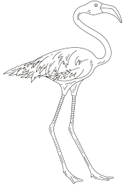 Men coloring pages ni hao, kai lan coloring pages peter. Flamingo With Long Leg Coloring Page Free Printable Coloring Pages For Kids