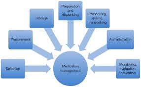 Full Text Role Of Pharmacists In Optimizing The Use Of