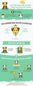 Summer Safety Dog Days Of Summer Infographic Come Wag Along Along Infographic Safety Summer Summer Safety Do Dog Infographic Pet Safety Dog Days