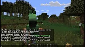 Once the command has been entered, the spawn point will be reset for the player to the coordinates entered. How 2 Spawn Zombie And Skeleton Horse Minecraft Command Block Video Dailymotion