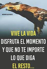 Pin De Yolanda Flores En Fondos De Samsung Galaxy S5 Tm Tmp Frases Motivacionales Vivir La Vida Motivacionales