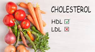 Which is good cholesterol? LDL or HDL? - VAntage Point