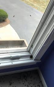 There are 0 home inspectors in raymore that are licensed. Able Pest Control Inc Facebook