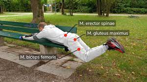 Had to (x2) have to. Parkbank Workout 10 Kraftubungen Fur Laufer Und Outdoor Fitness Fitness Creator Peter Dworak