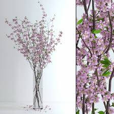 Vase Cherry Blossom Flowers 3d Max Vase Cherry Blossom Flowers Blossom