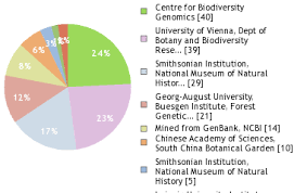 Image result for Antidesma vogelianum