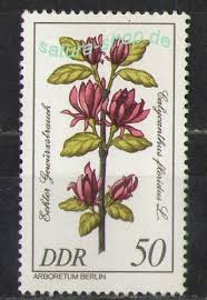 We did not find results for: 2578 Seltene Geholze 50 Pf Briefmarke Ddr Solar Pool Ice Peter Hakim