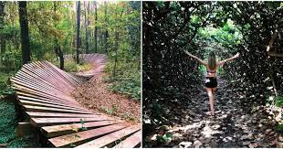 Florida Hiking Trails That Are Perfect For Your Summer Adventures Narcity Hiking In Florida Florida Trail Florida Adventures