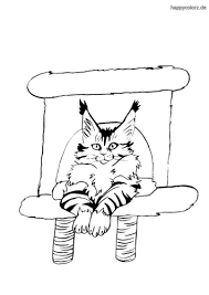 Katze Malvorlage Kostenlos Katzen Ausmalbilder