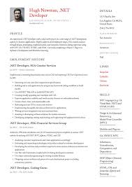 net developer resume & writing guide