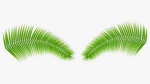 We did not find results for: Tropical Leaves Png Images Free Transparent Tropical Leaves Download Kindpng