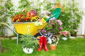 Take a peak at this insane timelapse showing you a fast and efficient way to clean an overgrown backyard. Tips For Backyard Cleaning