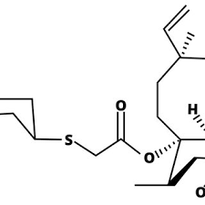 Image result for Retapamulin