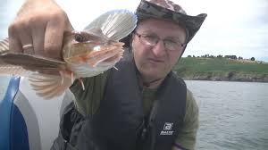 Look through examples of gurnard translation in sentences, listen to pronunciation and learn grammar. Duze Makrele Na Choinke I Piekny Kurek Czerwony Z Zatoki Youtube