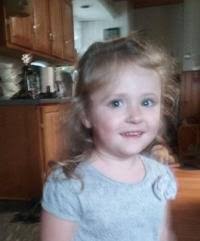 Statewide text alert sent to all cellphones