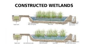 Constructed Wetlands Wetland Rain Garden Design Landscape Engineer