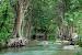 Jacobs Well