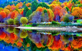 Nature 1920x1200 Forest Lake Water Tree Hd 4k 1080p Wallpaper Hdwallpaper Desktop Autumn Scenery Landscape Wallpaper Scenery Wallpaper