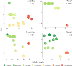 Applying Continuous Functional Traits To Large Brown