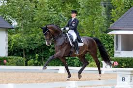 Ihr pferd kämpft mit gesundheitlichen problemen. Cdi Achleiten Jubilaumsturnier Mit Olympia Qualifikation Niederosterreichischer Pferdesportverband