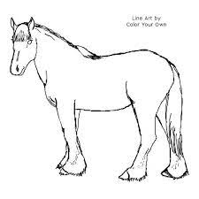 This coloring page belongs to these categories: Clydesdale Horse Coloring Page
