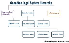 Court hierarchies are an essential the court hierarchy provides structure and clarity to the administration of justice. 22 Hierarchy Ideas Hierarchy Legal System Political System
