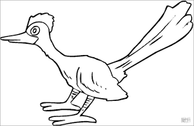 The roadrunner is a type of bird. Roadrunner Coloring Pages Printable Coloringbay
