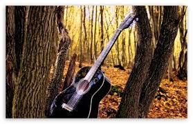 Forrest Guitar Hd Desktop Wallpaper Widescreen High Definition Fullscreen Mobile Music Wallpaper Guitar Hubby Love Quotes