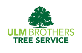 Maybe you would like to learn more about one of these? Ulmbrothers Tree Services Home Facebook