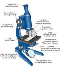 Parts Of A Compound Microscope Medical Laboratory Science Biology Labs Biology Lessons