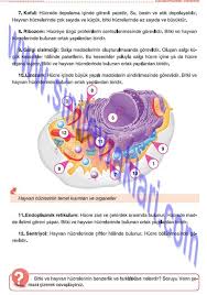 6 Sinif Fen Bilimleri Tuna Matbaa Yayinlari Ders Kitabi Cevaplari Sayfa 21 Tintin Kitap Sinif