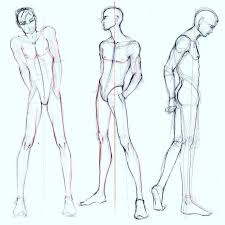 Anatomy female tool reference is a complete tool for digital artists. Male Reference Poses
