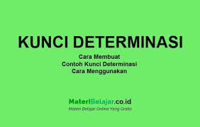 Kelompok tersebut dapat didasarkan pada ukuran besar hingga yang kecil dari segi anggota kelompoknya. Kunci Determinasi Contoh Cara Membuat Dan Cara Menggunakanya