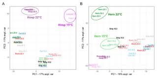Found in plants, fungi, prokaryotes and protists. Cells Special Issue Research On Plant Cell Wall Biology