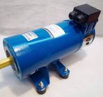 DC Motor 12 volt or 24V for UDOR and FOG High Pressure water Pump