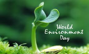 World environment day (wed) is celebrated on 5 june every year to encourage worldwide awareness and action to protect the environment. World Environment Day Slogans And Quotes Yourselfquotes