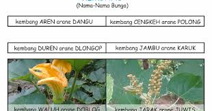 Tuntut, ontong kembang gembili arane: Kosa Kata Nama Nama Bunga Dalam Bahasa Jawa Bimbel Sekolah