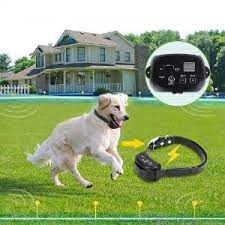 We did not find results for: E Fence For Dogs Pasteurinstituteindia Com