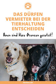 Jeder Hat In Seinem Mietvertrag Wahrscheinlich Eine Klausel In Der Es Um Die Haltung Von Haustieren Geht Meist Findet Tier Fakten Katzen Fakten Hundehaltung