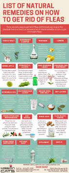 List Of Natural Remedies On How To Get Rid Of Fleas Mission Cats
