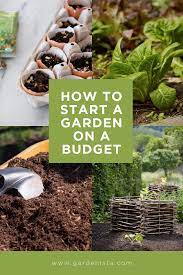 Your First Garden How To Start A Garden For Practically Free Gardenista Starting A Garden Gardening For Beginners Organic Gardening Tips