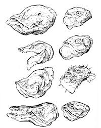 Got requests on my last tutorial for this. Sketching Animals And Creatures With Pen And Ink Class101 Usa