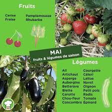 Calendrier 2020 Fruits Et Legumes De Saison Meal Canteen