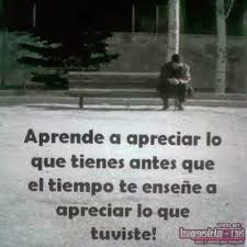 Para Reflexionar Imagenes Con Frases Descargar Imagenes Bonitas Y Imagenes De Amor Palabras De Sabiduria Frases Sabias Dichos Y Frases