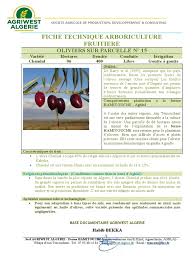 Fiche Technique Chemlal Algerie Agriculture