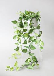 We did not find results for: Artificial Plants Hanging Philodendron Bush 49 5 In 2021 Fake Hanging Plants Artificial Plants Decor Small Fake Plants
