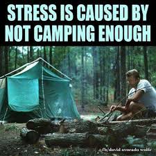 It S A Nice Thought But Putting A Tent Up Is Stressful Camping Memes Camping Shower Family Camping Gear