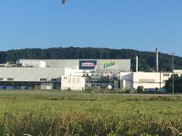 Homann Erweiterung In Lintorf Ohne Hochregallager Geht Es Nicht Nw De