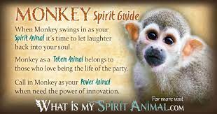 Monkey Symbolism Meaning Spirit Totem Power Animal Power Animal Animals Spirit Animal Totem