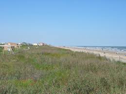 Fish in salt water or fresh water. Galveston Island State Park Galveston Texas